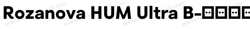 Rozanova HUM Ultra B字体转换